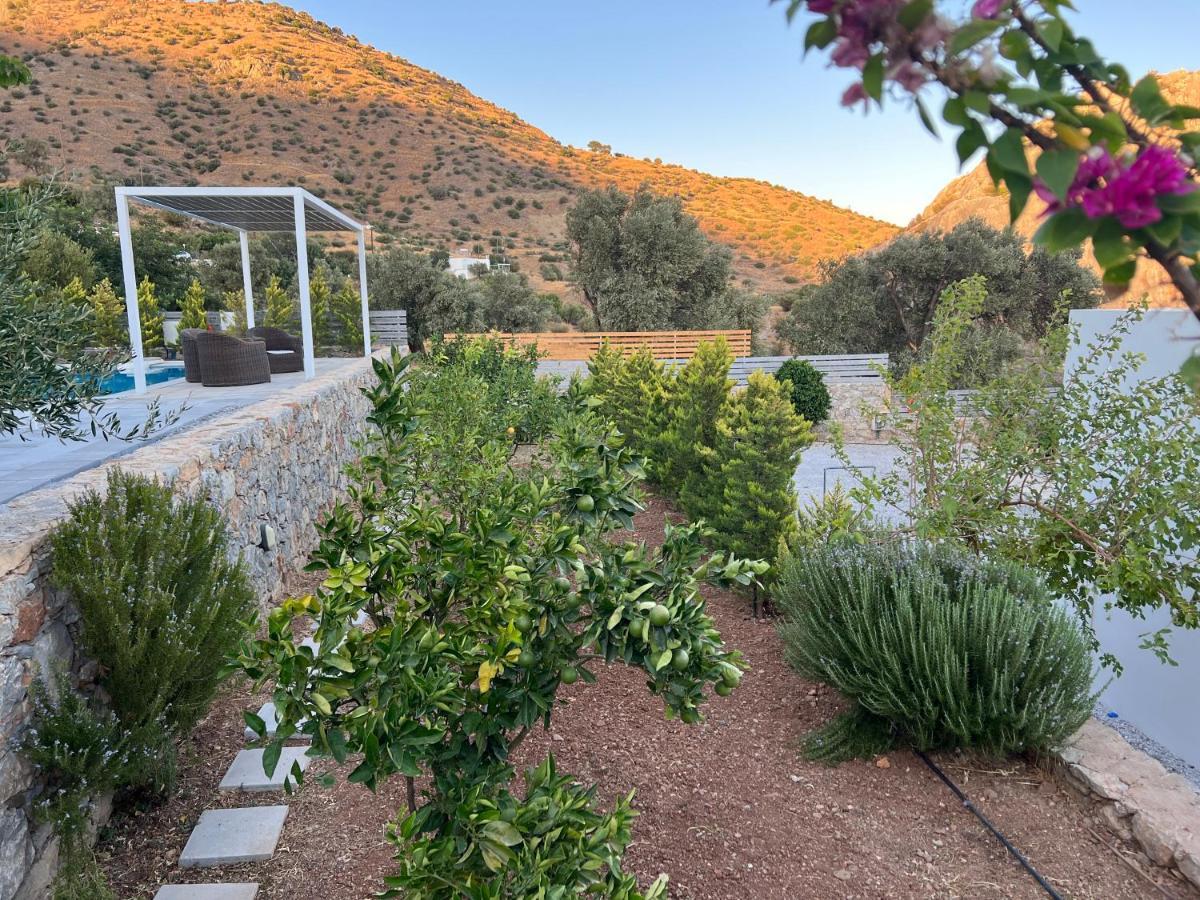 Evgoro Luxury Suites Agia Galini Eksteriør bilde